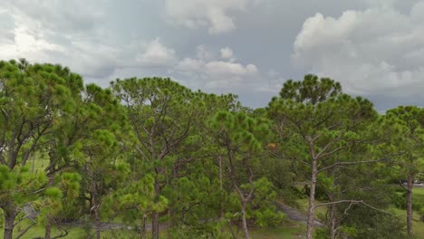 Aerial-view-of-Cape-Coral-neighborhood-in-Florida