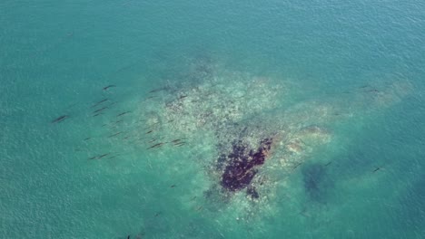 Kristallklares-Blaues-Wasser-Auf-Den-Bahamas