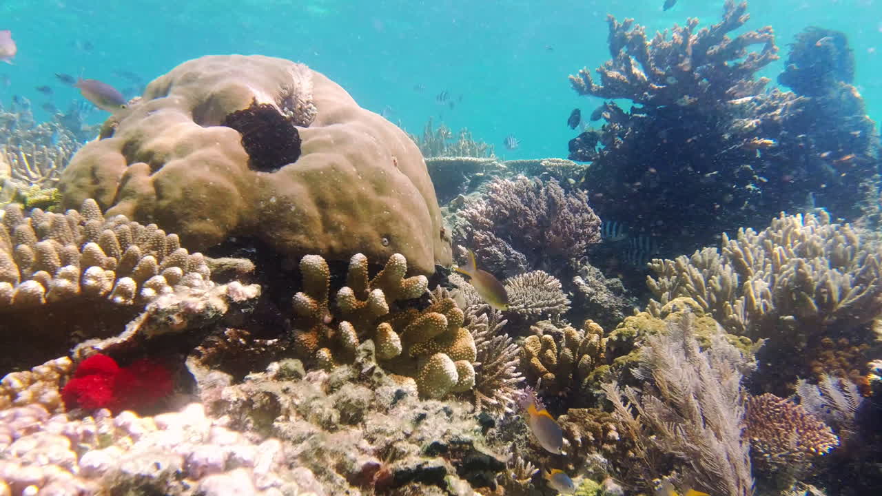 There's a whole new world waiting to be discovered