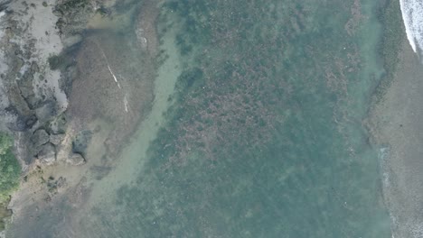 High-altitude-top-down-descending-drone-shot-of-polluted-water-filled-with-trash-floating-over-dead-coral-reef-in-the-turqouise-tropical-water-of-Bali-Indonesia