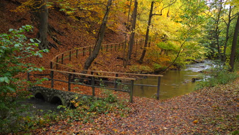 bridge in the autumn forest park