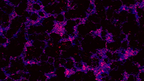patrón fractal abstracto