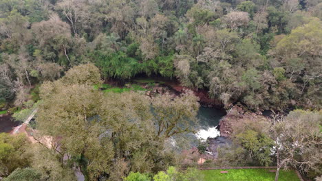lush forest and river view from above in parque natural gruta india, argentina