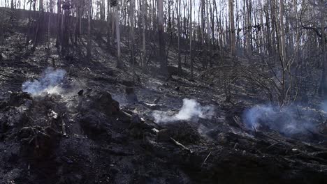 Rauch-Auf-Schwarzer-Landschaft-Nach-Großbrand-In-Einem-Eukalyptuswald-In-Spanien