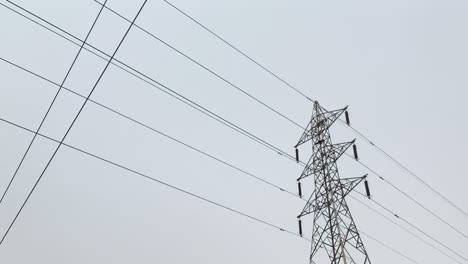 High-voltage-electric-towers-with-bird-flying-against-grey-overcast-sky