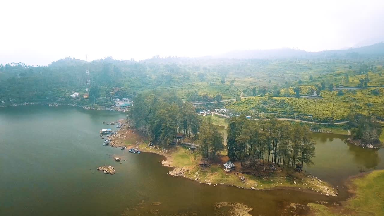 Lake with mountain and pine forest tea field
