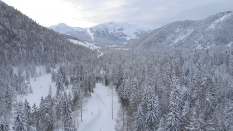 incredible snowy scenery of the pillersee valley, near hochfilzen, austria