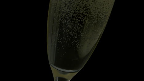 bubbles rising in champagne glass