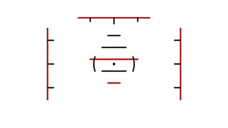 Digital Camera Viewfinder Overlay with Rotating Reticle