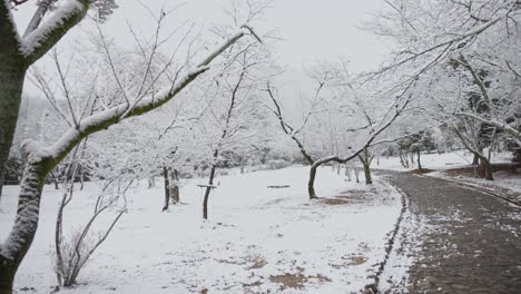 snowy pathway through park in winter scene