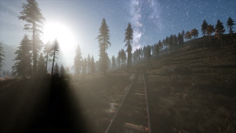 the milky way above the railway and forest