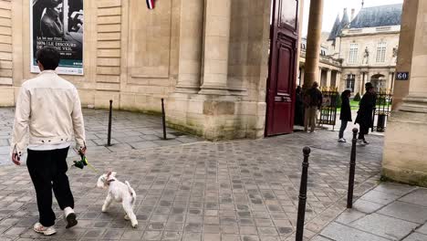 a man and his dog stroll past an elegant archway.