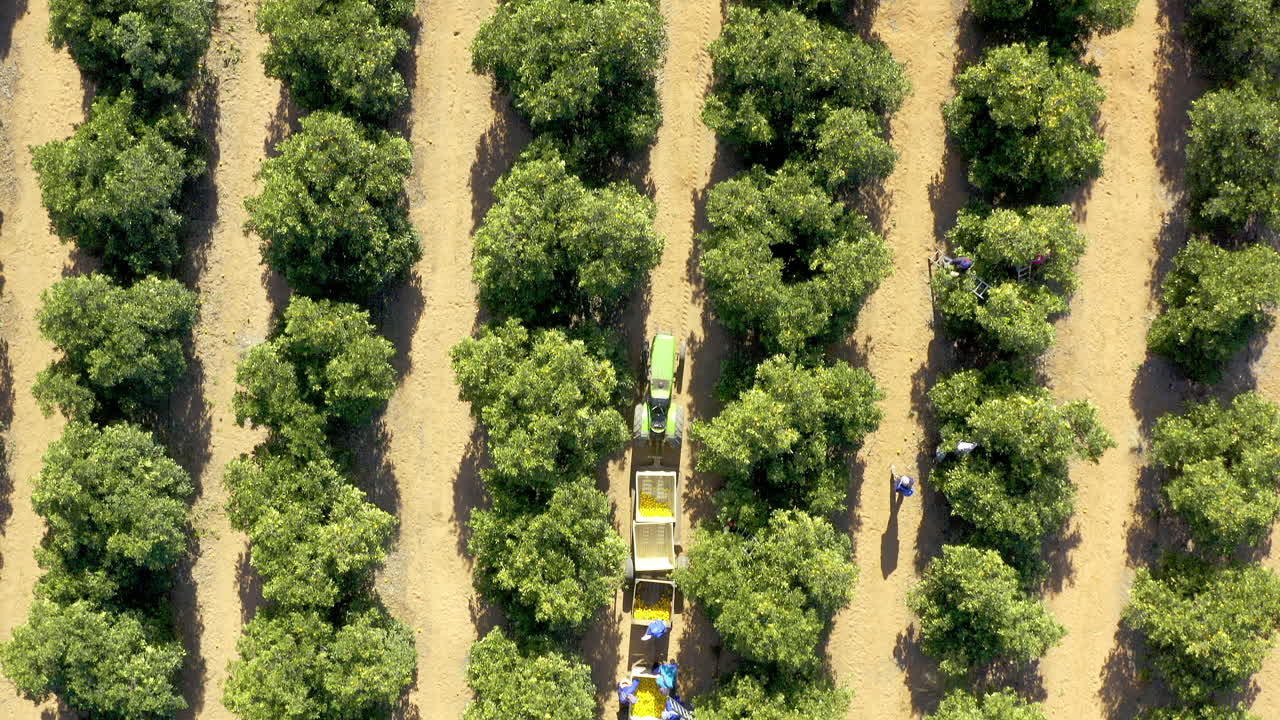 열심히 일하면 품질 좋은 농산물을 얻을 수 있습니다.