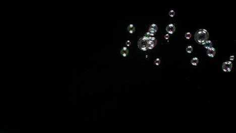soup bubbles isolated on black background