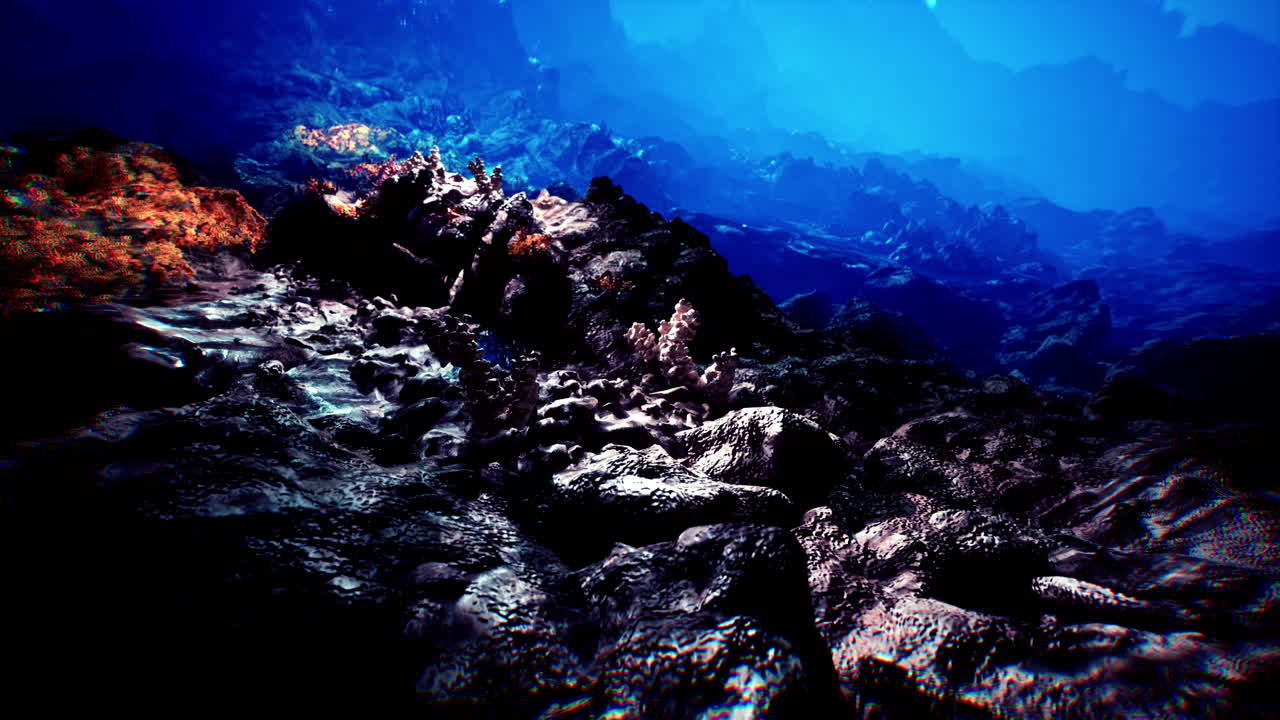 Discovering vibrant corals and textures on the dawn seabed