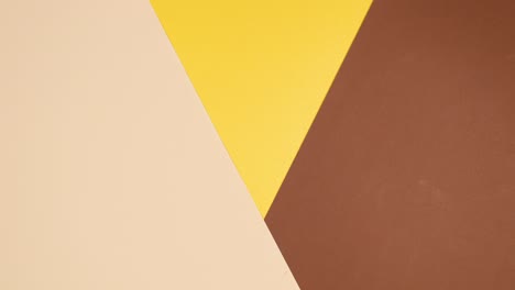 golden tropic leaves appear on gold nude background. stop motion flat lay exotic concept