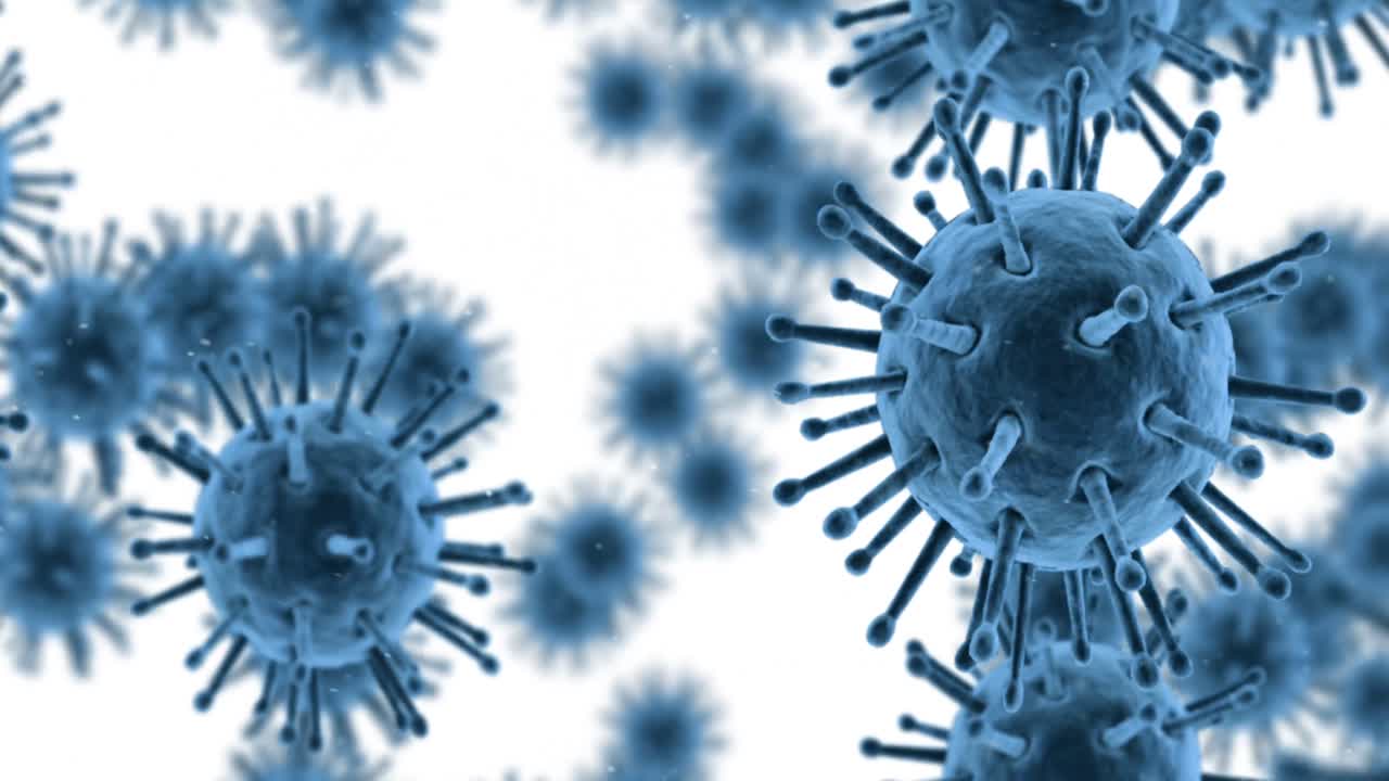 células de virus generadas digitalmente que fluyen contra un fondo blanco