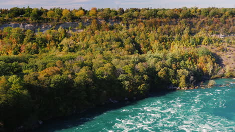 Forest-on-Mountain-River-Bank