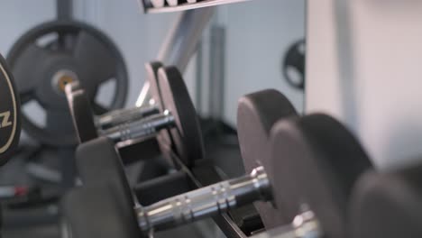 person handling dumbbells in a gym