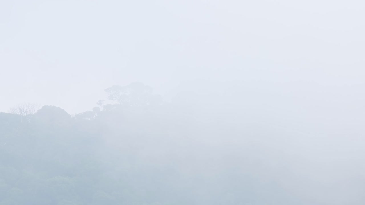 태국 정글에서 매우 추운 날 푸른 나무로 가득한 산을 덮고 있는 구름
