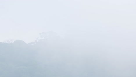 태국 정글에서 매우 추운 날 푸른 나무로 가득한 산을 덮고 있는 구름