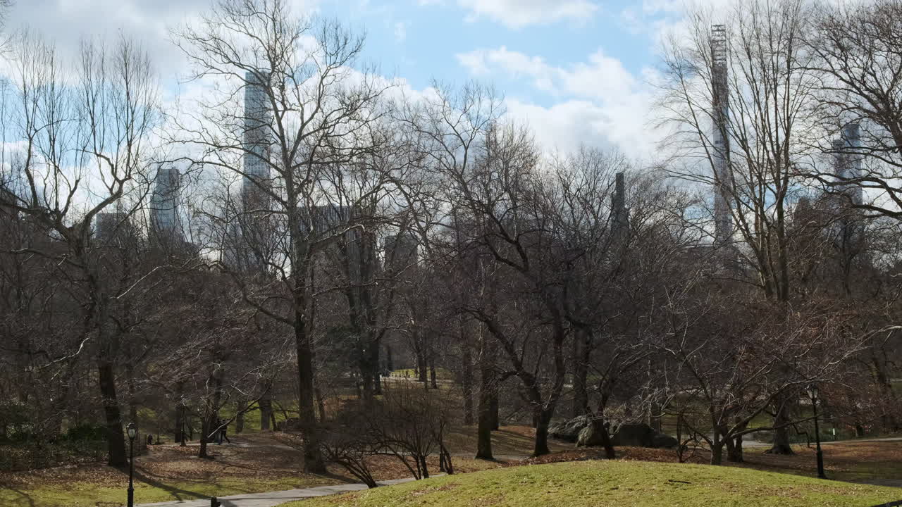 억만장자의 날씬한 고층 건물을 배경으로 뉴욕시 중앙 공원