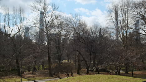 new york city central park with billionaire's row skinny skyscrapers in the background