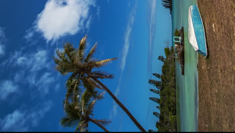 A-boat-on-the-beach-of-a-deserted-lagoon-on-the-Isle-of-Pines---vertical-time-lapse