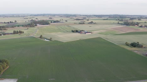 un avión no tripulado cae lentamente sobre un campo de colza con tierras de cultivo en la distancia en skane, sur de suecia.