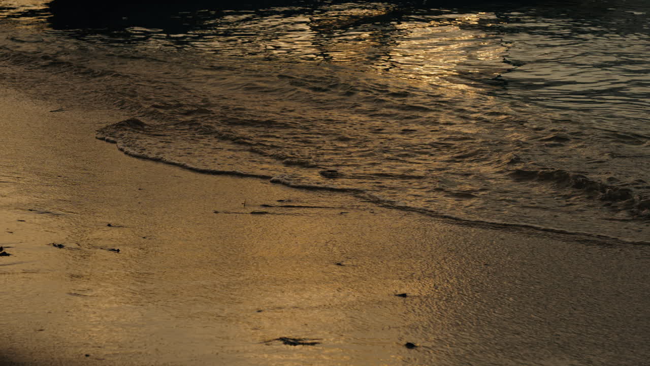 슬로우모션  ⁇ 지 해변 조용한 파도 해가 지는 배경 조명 클로즈업