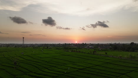 Arrozales-En-Terrazas-Al-Atardecer-Cerca-Del-Pueblo-Costero-De-Canggu-En-Bali