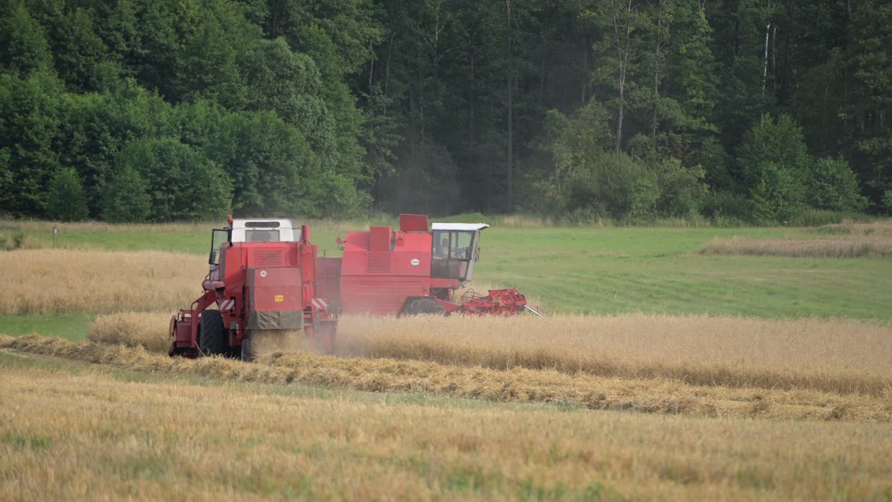 two pair of red tractor harvest machine working as team in farm field plantation