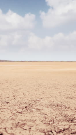 desert landscape with cracked earth