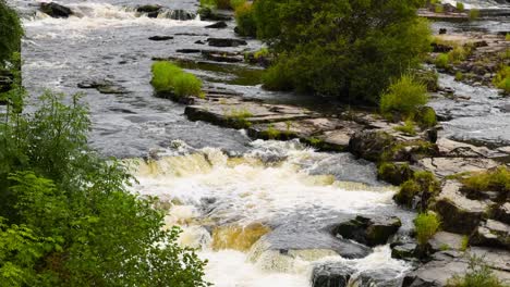 stream flowing over rocks with greenery