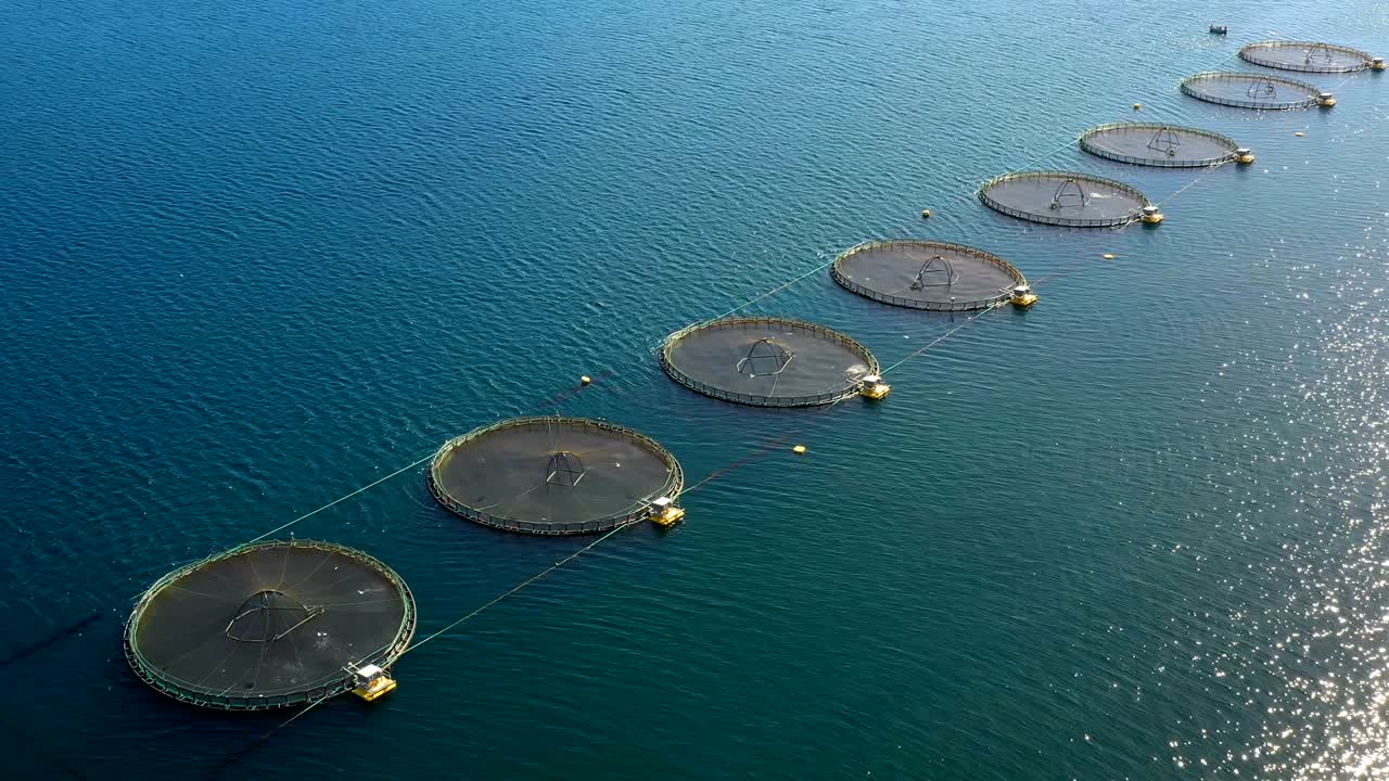 노르웨이의 연어 농장  ⁇ 시