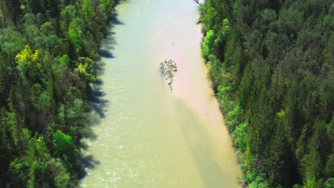 drone fly over river and forest 4k