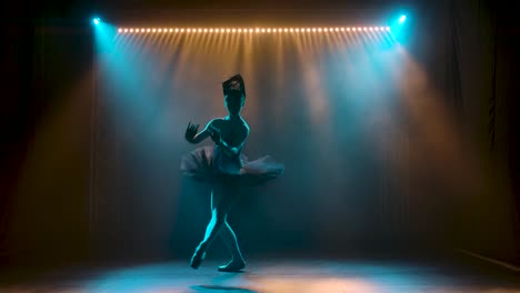 Silhouette of a graceful ballerina in a chic image 2023 11 27 05 02 45 utc.mov | action, alone, art, ballerina