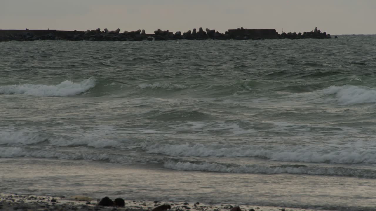 파도가 해안선을 향해 굴러가 황혼 시간에 충돌하고 정적인 시야