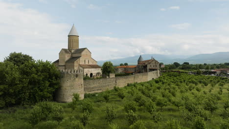 vineyard of a local georgian monastery, perfect attraction for enotourism