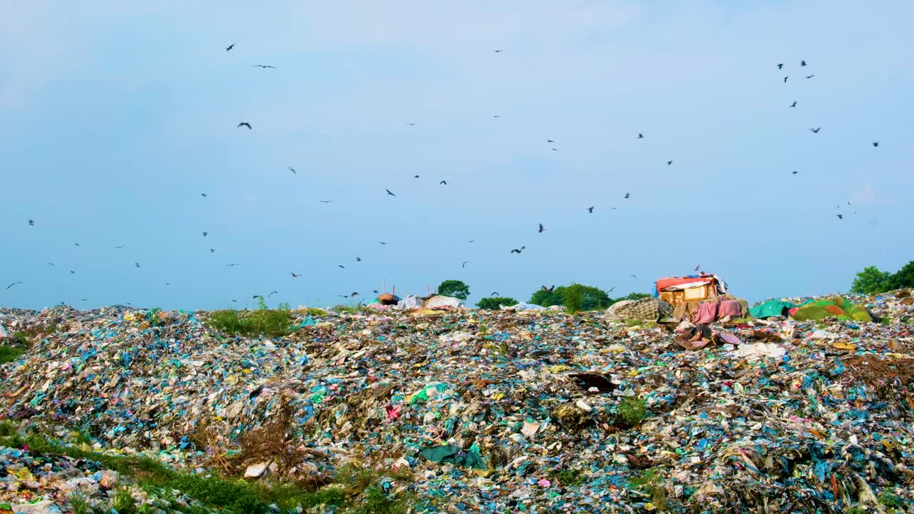 Plastic Pollution in Landfill full of Birds Flying Around