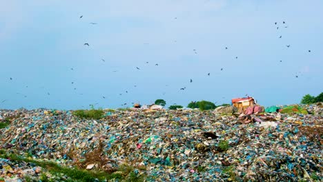 Contaminación-Plástica-En-Un-Vertedero-Lleno-De-Pájaros-Volando