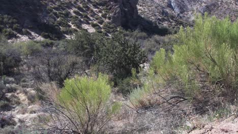 Tilt-up-on-rough-desert-terrain-to-large-rock-formations,-Scottsdale,-Arizona