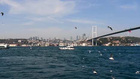 istanbul bosphorus bridge and cityscape