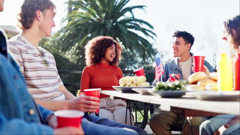 friends having a barbecue