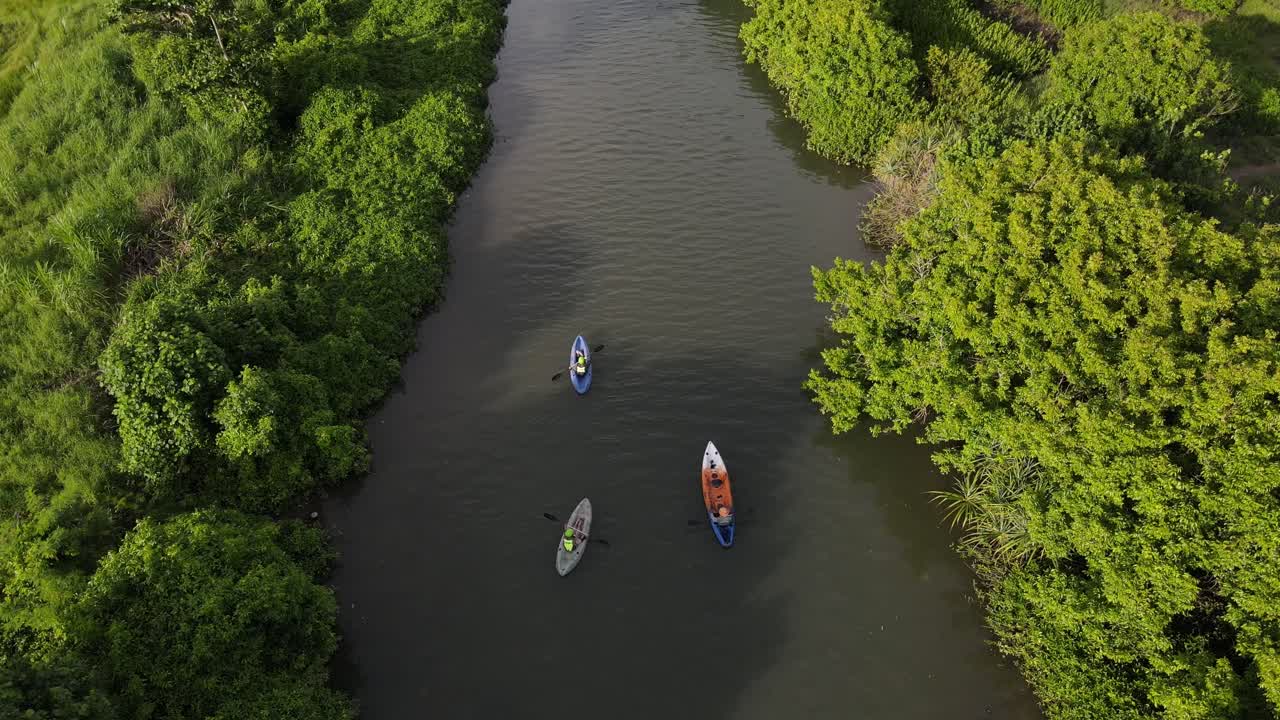 vista aérea, piragüismo en un río con gruesas orillas de árboles y campos de arroz