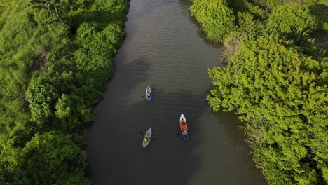 aerial-view,-canoeing-on-a-river-with-thick-tree-banks-and-rice-fields