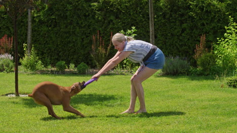 mujer y perro jugando al tirón en un jardín