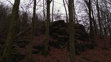 Stone-formation-in-the-forest