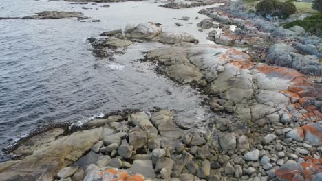 Drohnenantenne-über-Bay-Of-Fires-Tasmania-Beach-An-Bewölkten-Tagen-Mit-Wellen