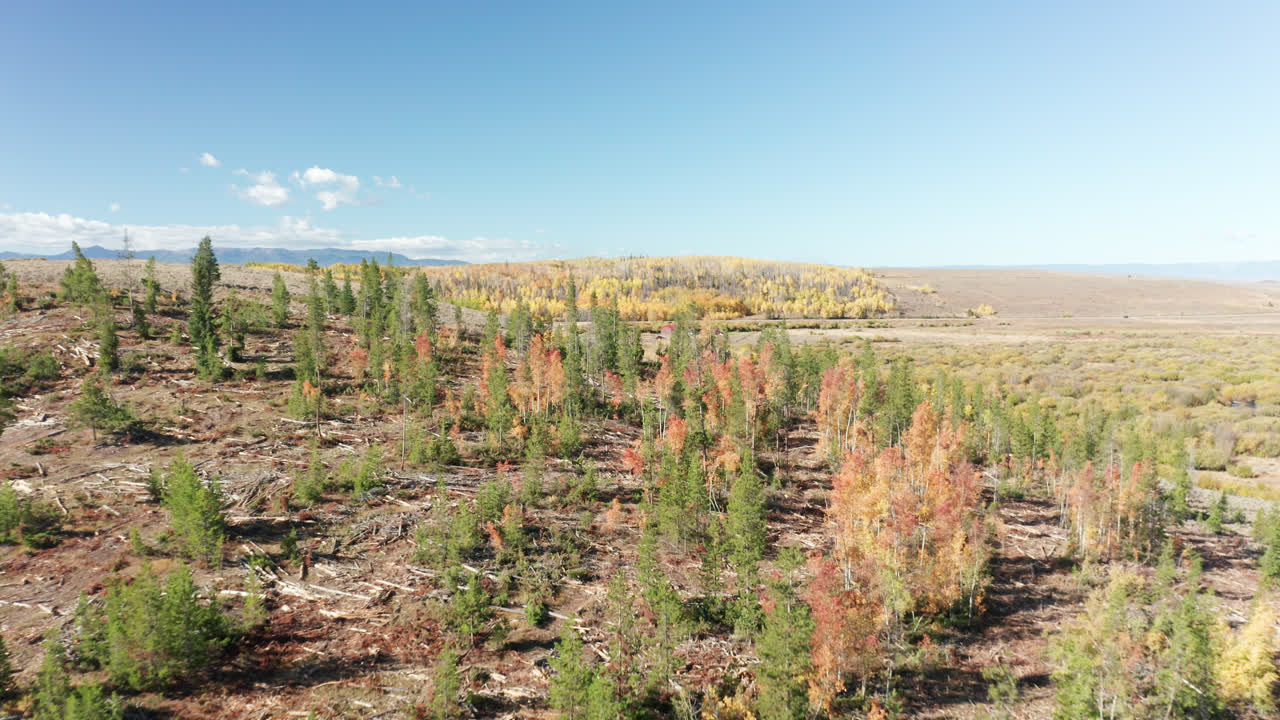 imágenes de drones del norte de colorado de colores de otoño en las montañas